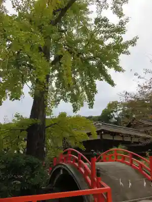 賀茂御祖神社（下鴨神社）のその他建物