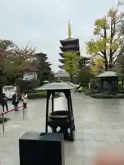 浅草寺(東京都)