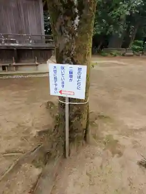 野木神社のその他建物