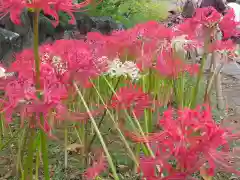 横浜　西方寺(神奈川県)