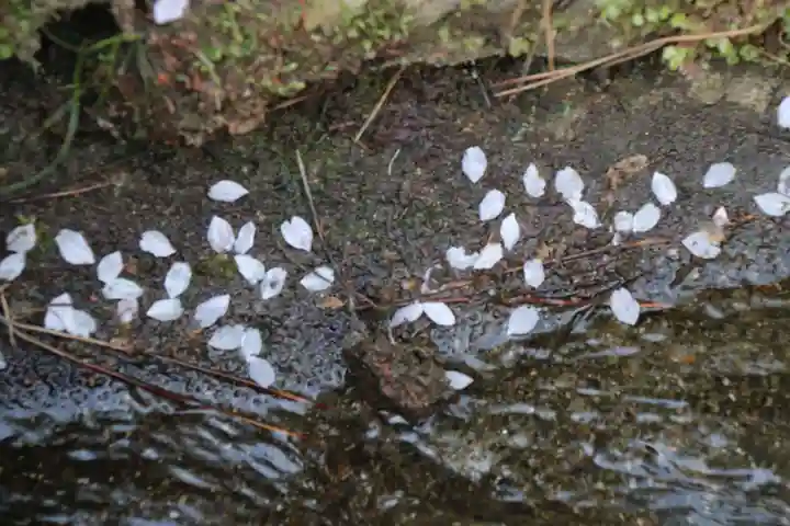 醍醐寺のその他建物