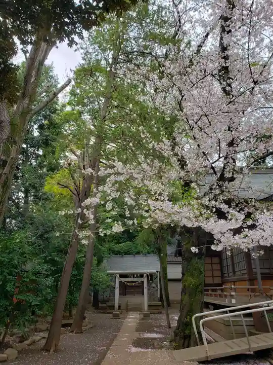 神明氷川神社(東京都)