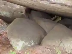 名草厳島神社の自然