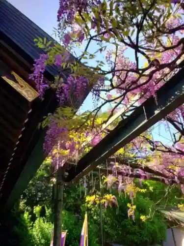 國領神社(東京都)