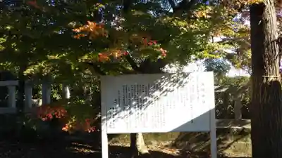 岸町浅間神社の自然