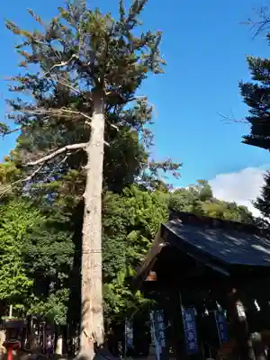滑川神社 - 仕事と子どもの守り神のその他建物