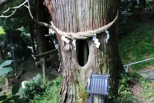 阿久津「田村神社」（郡山市阿久津町）旧社名：伊豆箱根三嶋三社の自然