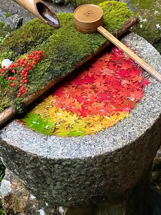 柳谷観音 楊谷寺の手水舎