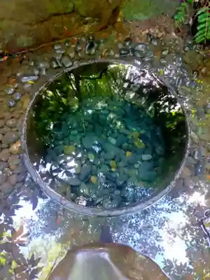 明治神宮(東京都)