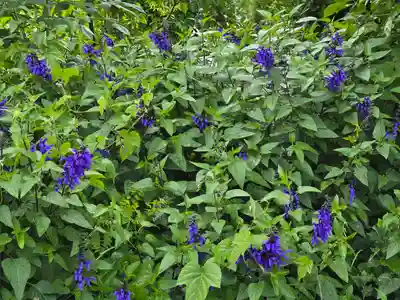 風輪寺(大阪府)