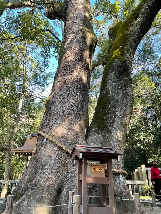 伊弉諾神宮の自然