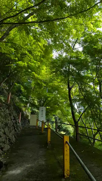 善峯寺(京都府)