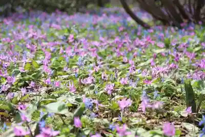 浦臼神社の自然