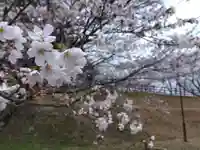 気比神社(福井県)