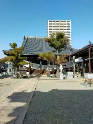 本興寺の{uncategorized: "未分類", other: "その他", undefined: "問題あり", building: "その他建物", grave: "お墓", sacred_gate: "鳥居", guardian: "狛犬", statue: "像", buddha: "仏像", history: "歴史", nature: "自然", garden: "庭園", animal: "動物", pagoda: "塔", temizu: "手水舎", mountain_gate: "山門・神門", sanctuary: "本殿・本堂", subordinate: "末社・摂社", art: "芸術", scenery: "景色", jizo: "地蔵", ema: "絵馬", goshuin: "御朱印", omikuji: "おみくじ", items: "授与品その他", amulet: "お守り", goshuincho: "御朱印帳", eats: "食事", festival: "お祭り", votive_dance: "神楽", shichigosan: "七五三参", wedding: "結婚式", experience: "体験その他", initially: "初詣", around: "周辺", anti_infection: "感染症対策"}