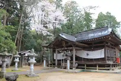 王宮伊豆神社の本殿・本堂