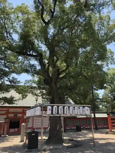 住吉大社のその他建物