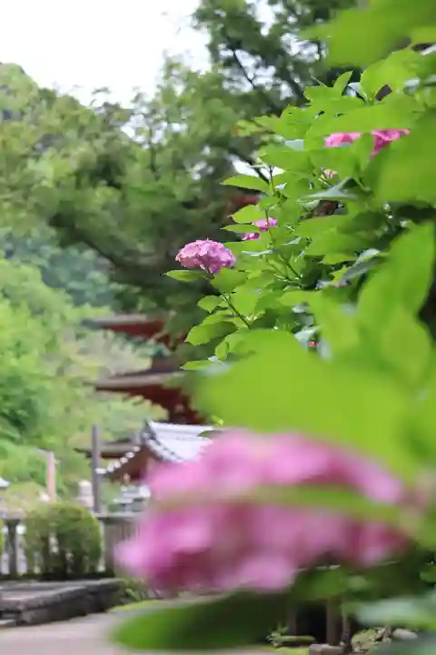 長谷寺のその他建物