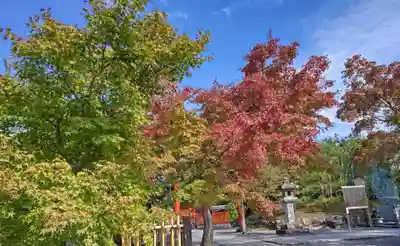 天龍寺(京都府)