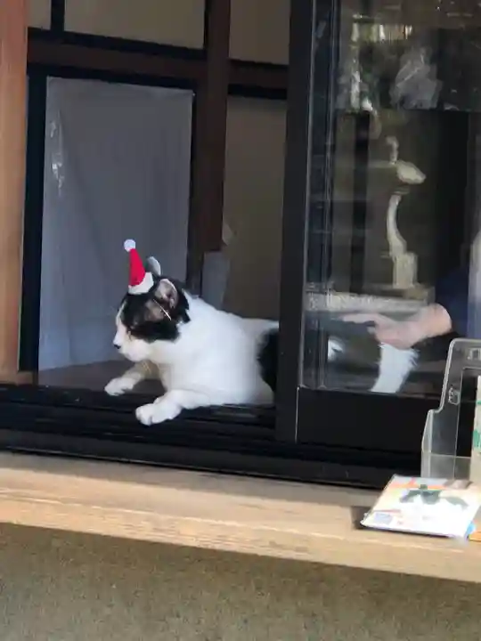 御霊神社(神奈川県)