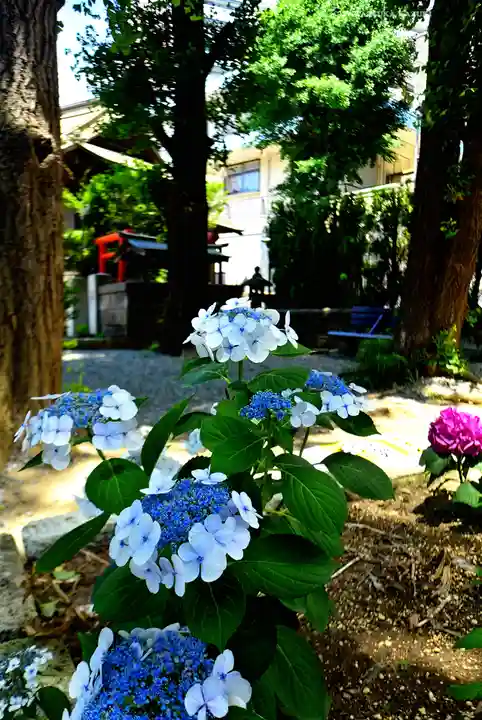 磐井神社(東京都)