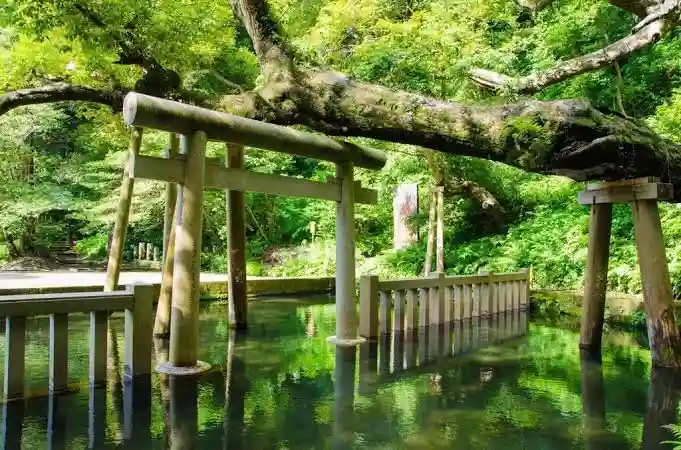 鹿島神宮(茨城県)