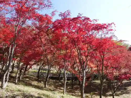 足利織姫神社の景色