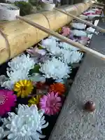 群馬県護国神社(群馬県)