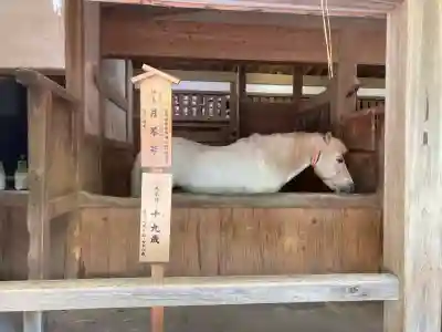 金刀比羅宮(香川県)