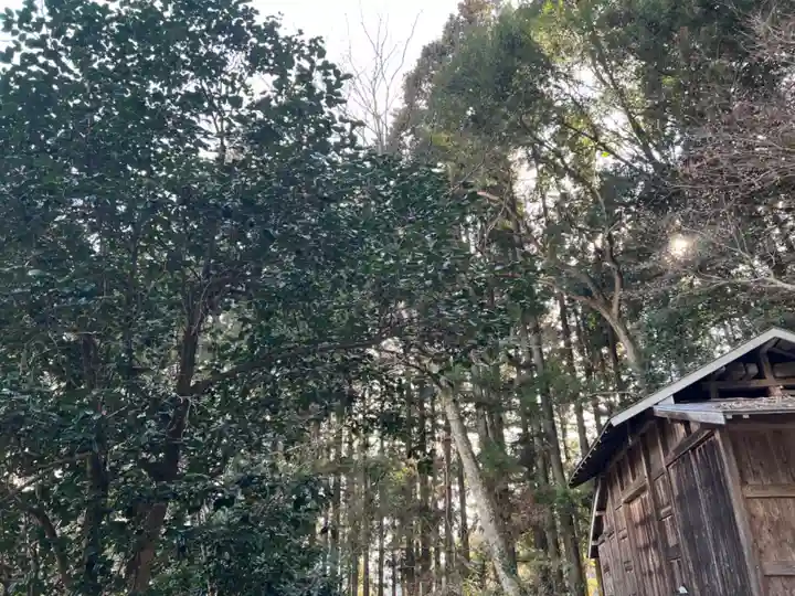 大宮温泉神社(栃木県)