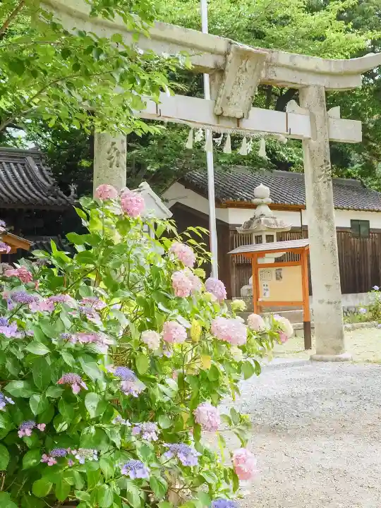 新宮八幡神社(兵庫県)