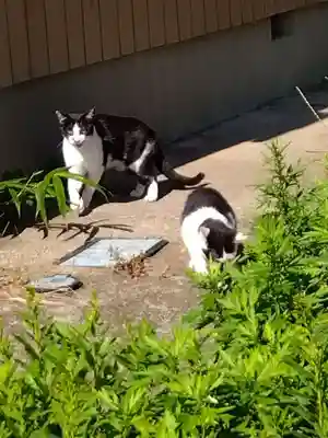 五郎兵衛稲荷神社(茨城県)