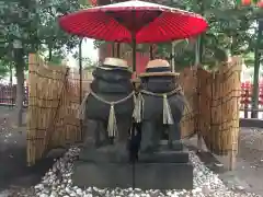 浅草神社の狛犬