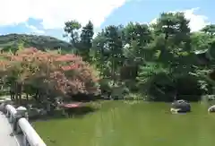 八坂神社(祇園さん)の庭園