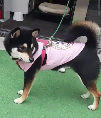 【閉業】小石川大神宮(東京都)