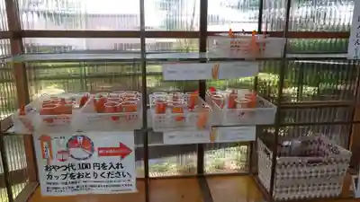 鹿児島神宮(鹿児島県)