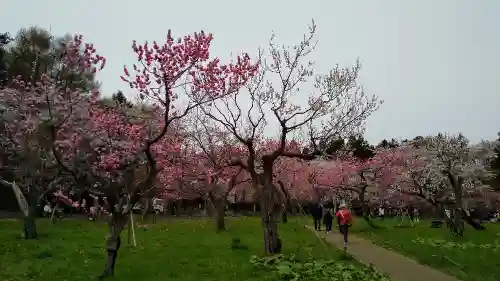 北海道神宮の庭園