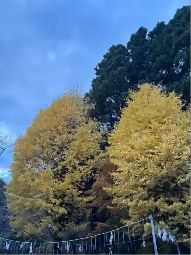 香取神宮(千葉県)