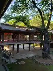 妙法寺の建物その他