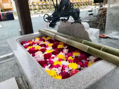寳泉寺の手水舎