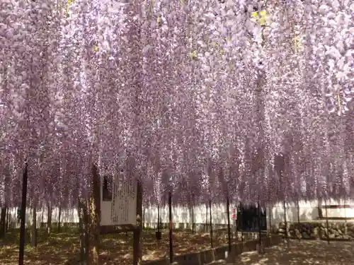 長泉寺の景色