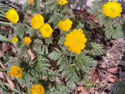 阿邪訶根神社(福島県)