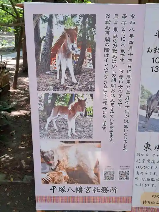 平塚八幡宮(神奈川県)