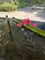 日光大室高龗神社(栃木県)
