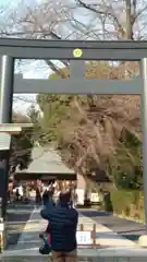 松陰神社の鳥居