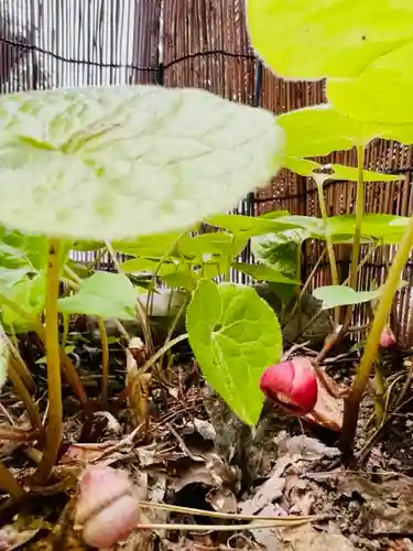 土津神社｜こどもと出世の神さまの自然