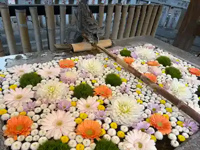 高円寺氷川神社(東京都)