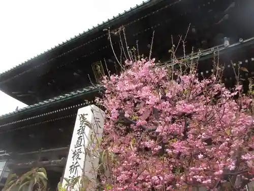 法華経寺(千葉県)