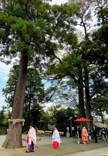 比々多神社の結婚式