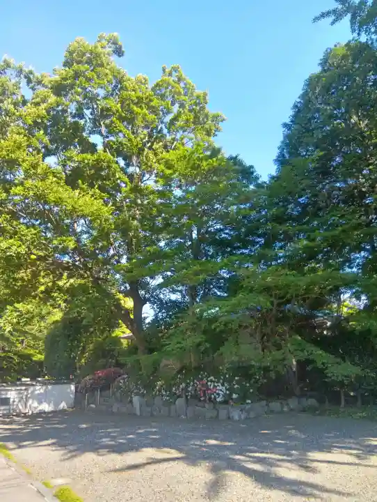 圓成禅寺(岐阜県)